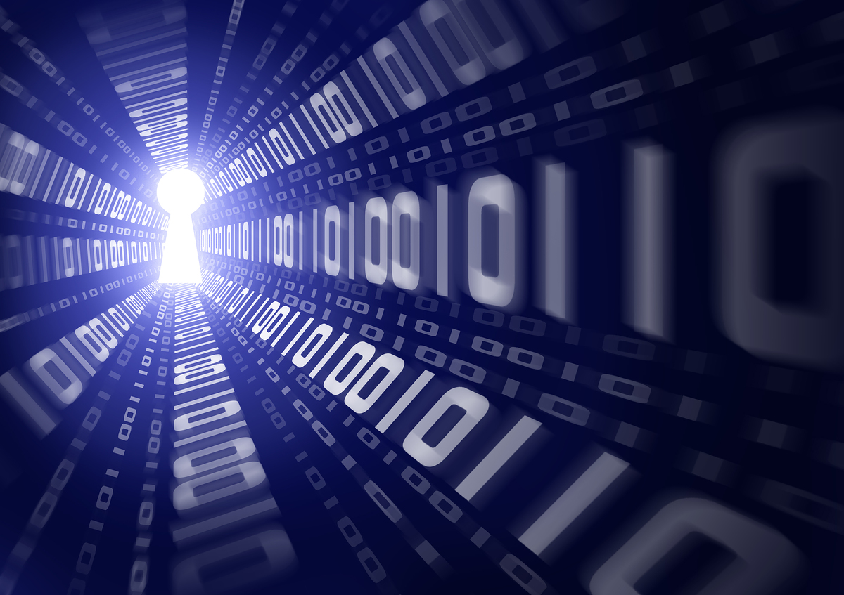 Ingegneria Informatica : per ampliare la scelta esami