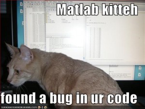 matlab kitten