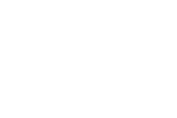 Copertura borse DSU esclusi