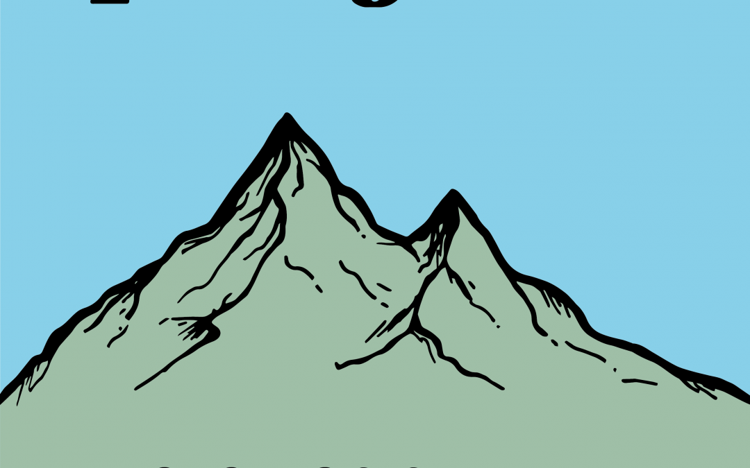 Patagonia: How to promote sustainability in the world of fast fashion